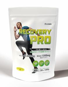 RECOVERY PRO 