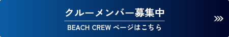 ビーチクルーの詳細を見る